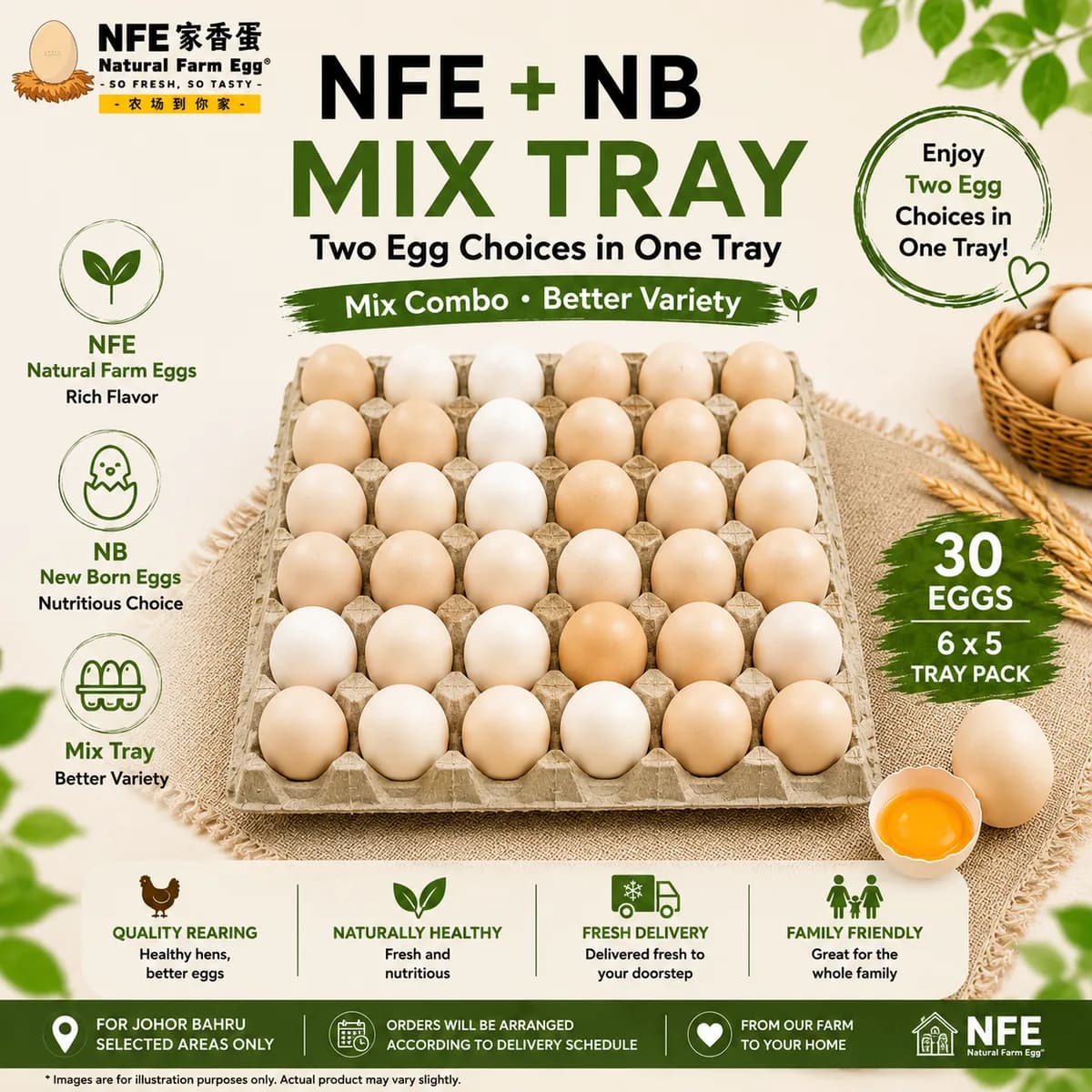 Mix Natural Farm Fresh Egg | 家香蛋 / 初生蛋
