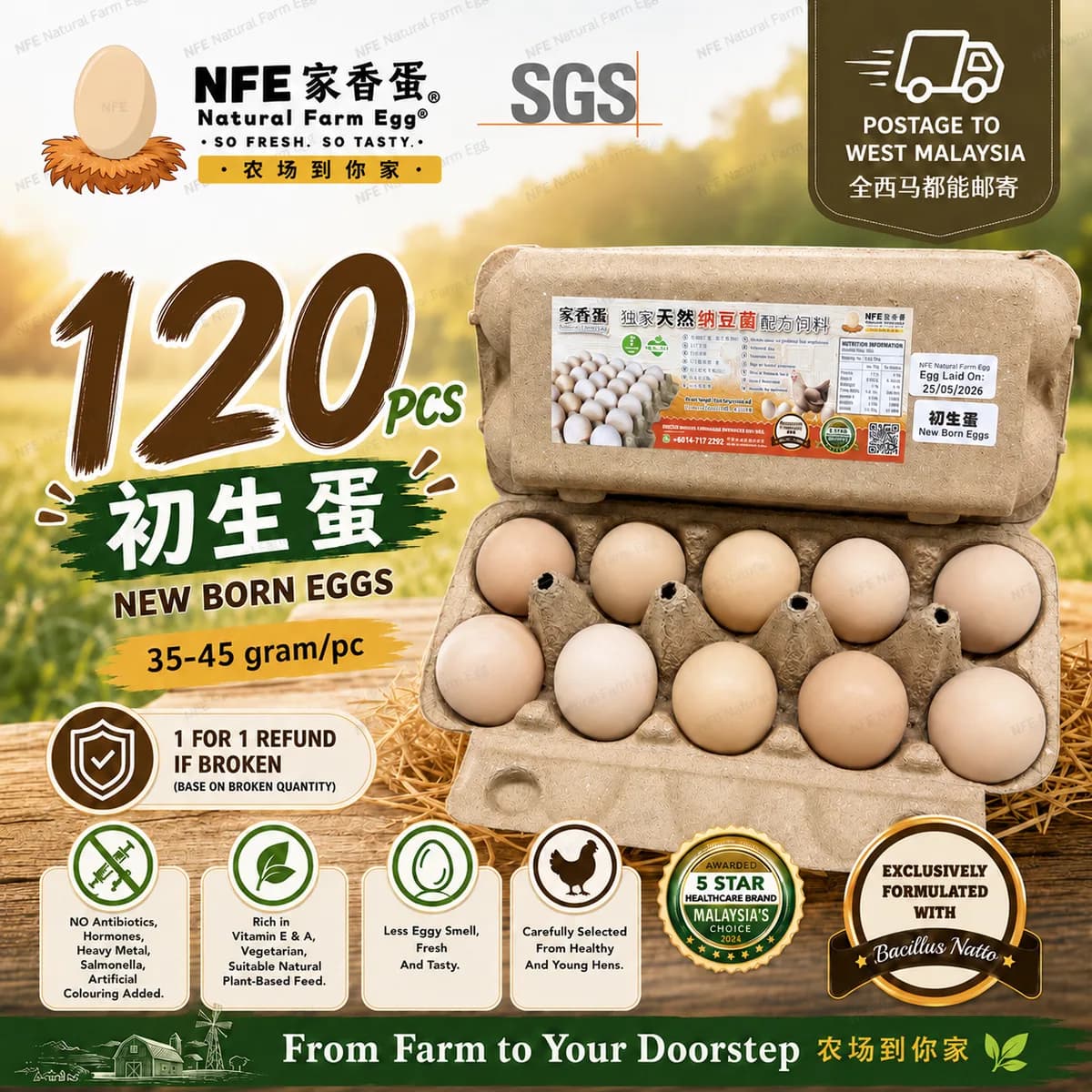 NFE 120pcs Natural Farm Fresh Egg | 家香蛋