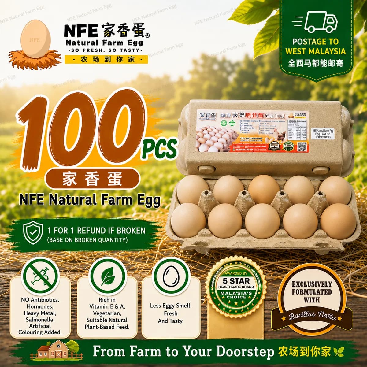 NFE 100pcs Natural Farm Fresh Egg | 家香蛋