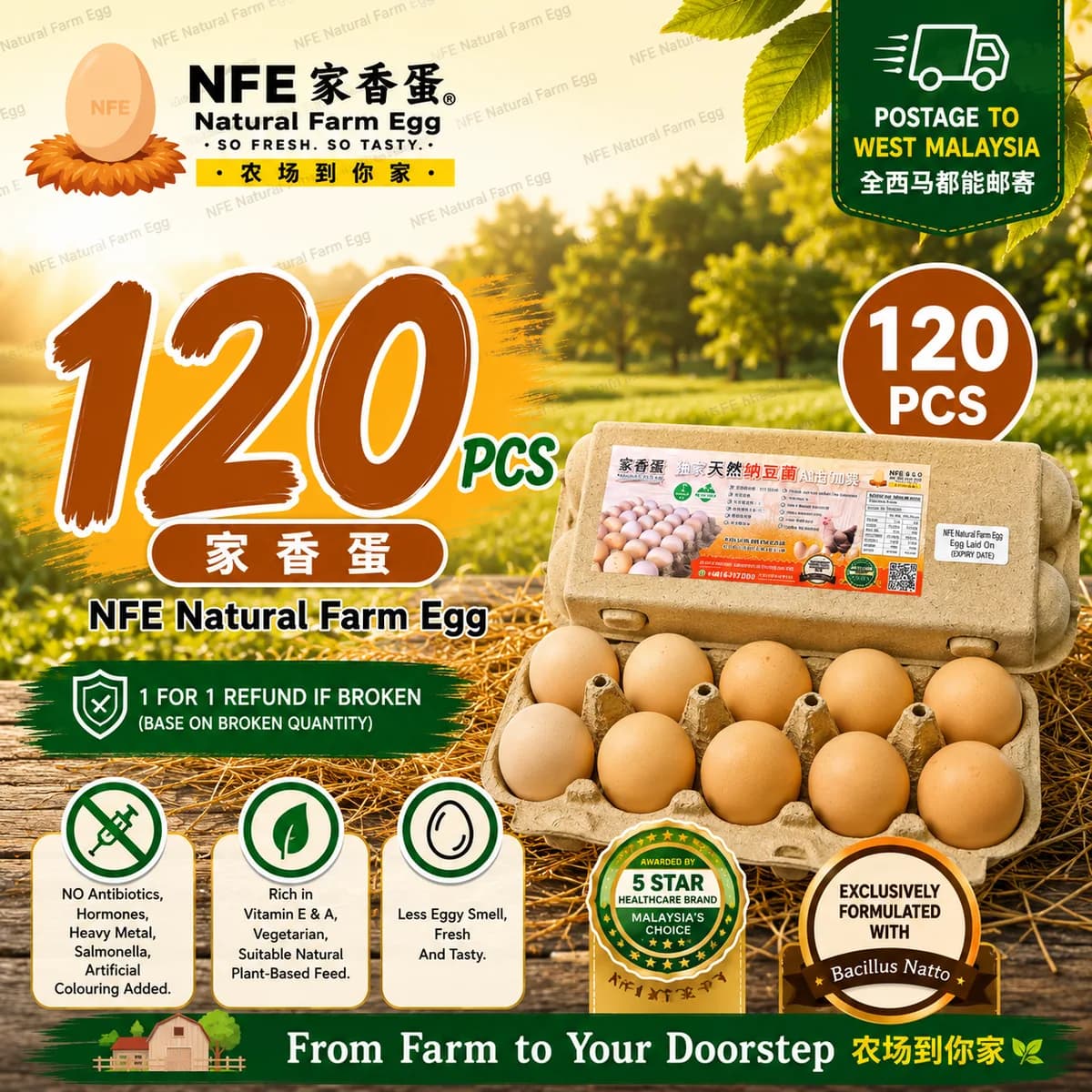 NFE 120pcs Natural Farm Fresh Egg | 家香蛋