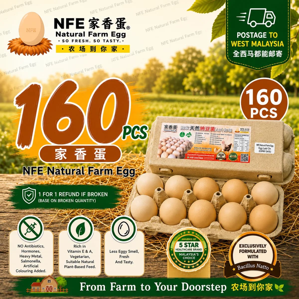 NFE 160pcs Natural Farm Fresh Egg | 家香蛋