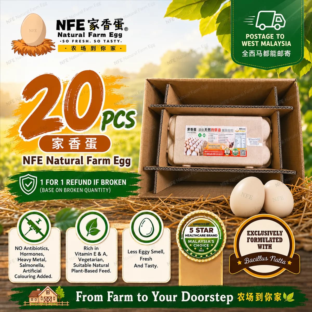 NFE 20pcs Natural Farm Fresh Egg | 家香蛋