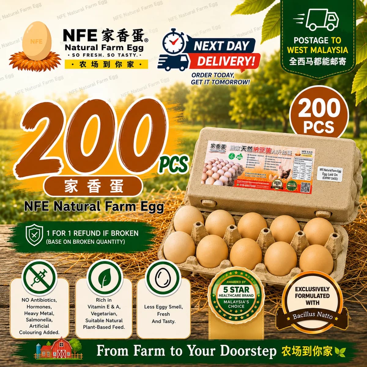 NFE 200pcs Natural Farm Fresh Egg | 家香蛋 / 初生蛋