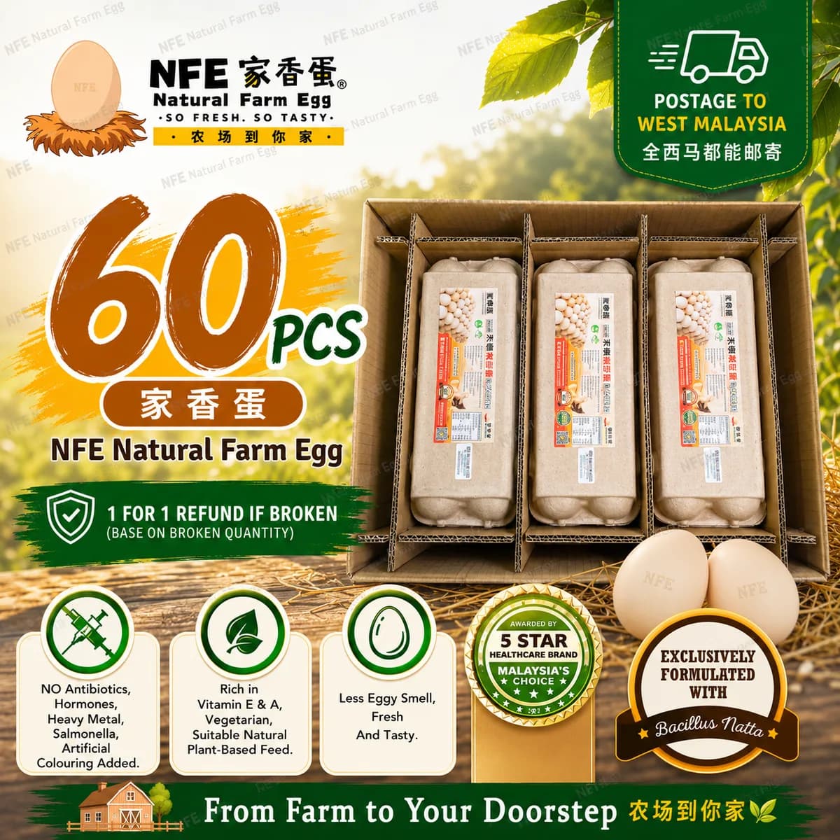 NFE 60pcs Natural Farm Fresh Egg | 家香蛋