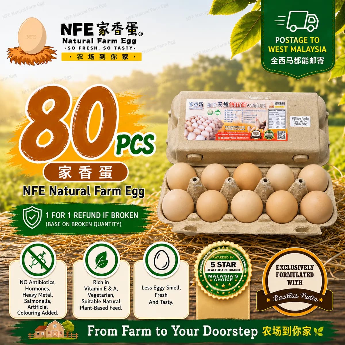 NFE 80pcs Natural Farm Fresh Egg | 家香蛋